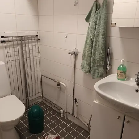 Daire Saunallinen Yksioe, 4 Vuodepaikka Eura